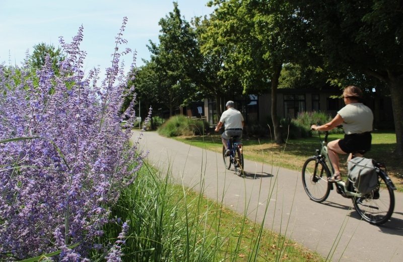 Fietsen omgeving de lithse ham 01